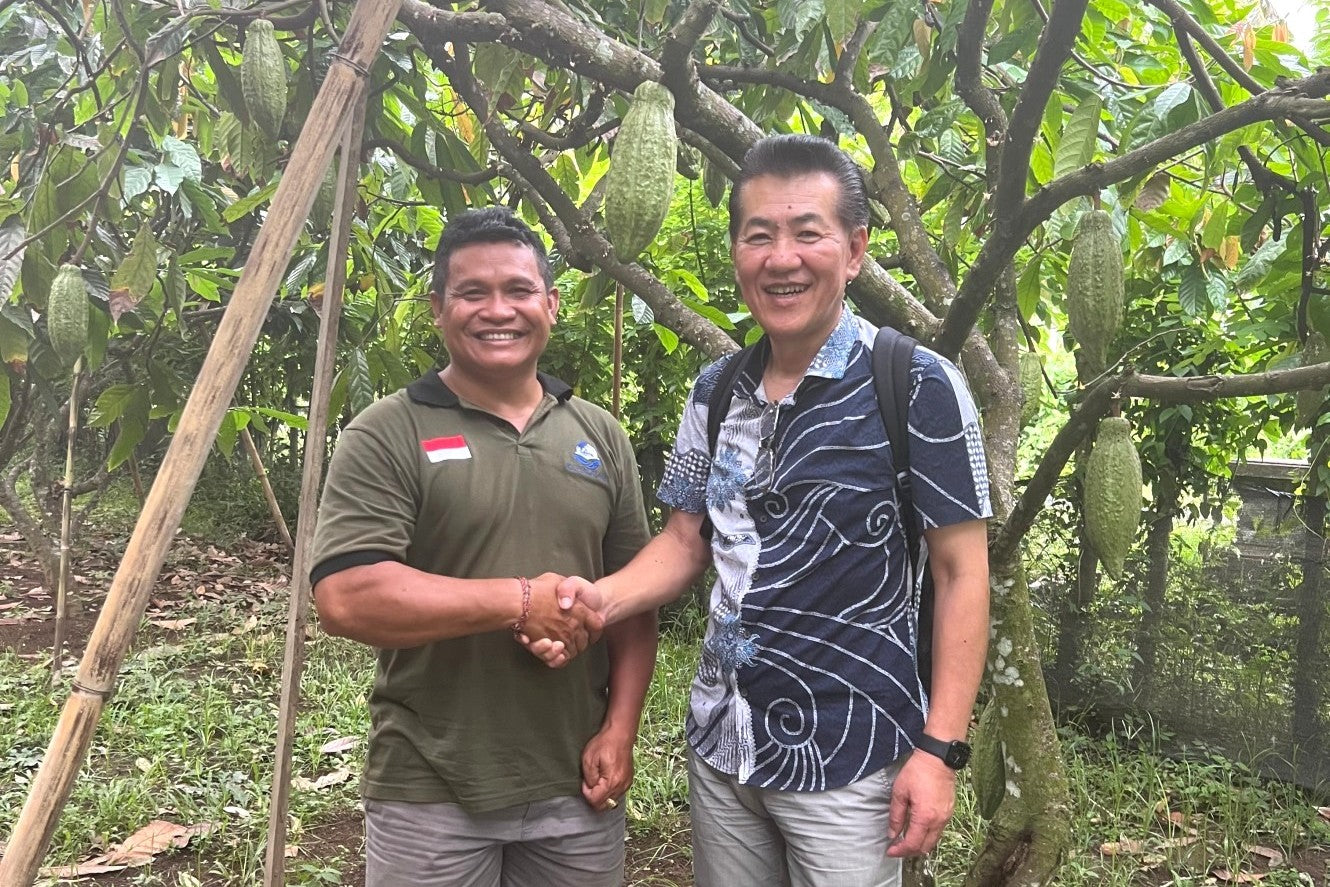 【カカオから作るチョコレート、手作りスイーツに】ローストカカオ豆 インドネシア バリ産100% 1000g(1kg)(大量購入可能 発酵カカオ豆)★