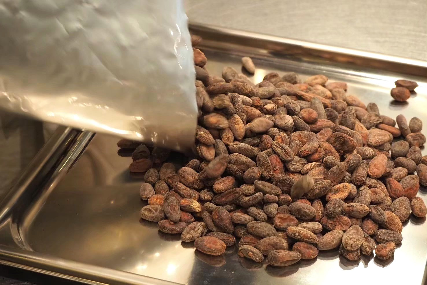 【カカオから作るチョコレート、手作りスイーツに】ローストカカオ豆 インドネシア バリ産100% 1000g(1kg)(大量購入可能 発酵カカオ豆)★